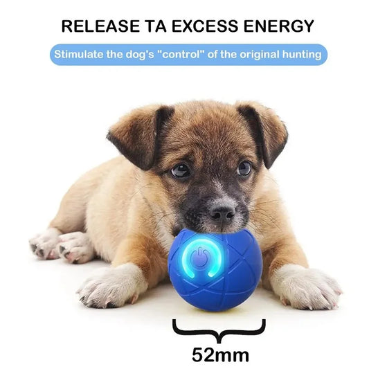 automatic electric pet ball toy