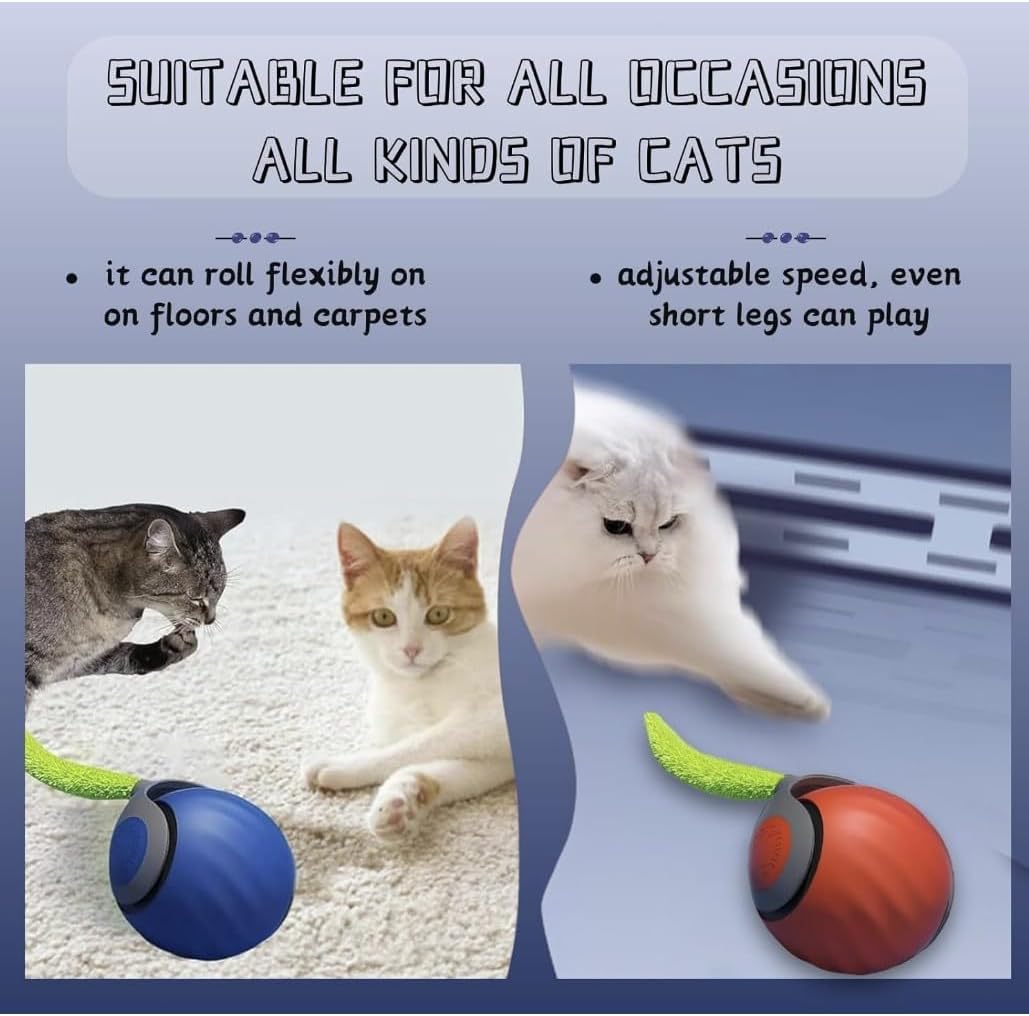 Speedy Cat Play Ball