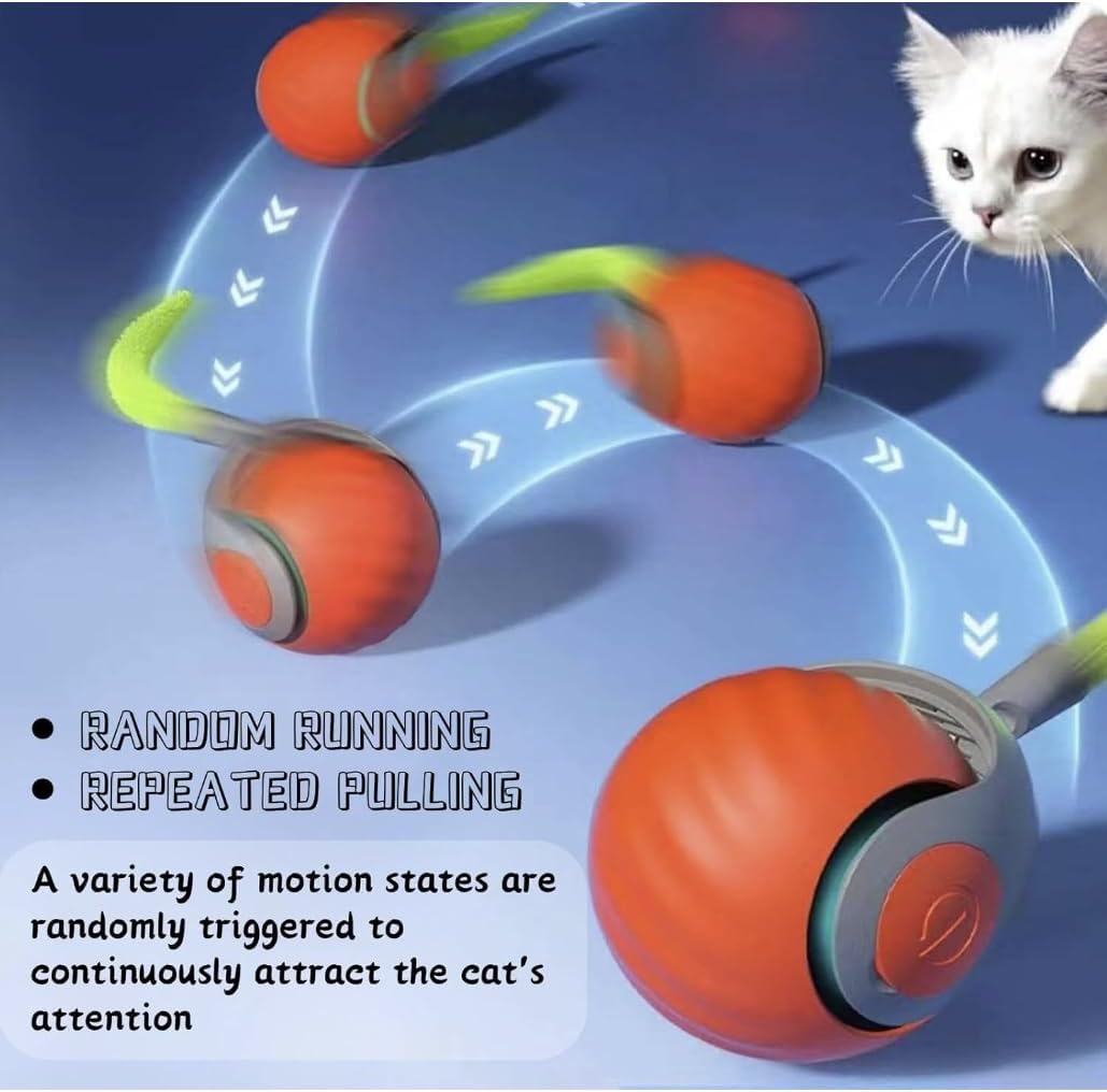 Speedy Cat Play Ball