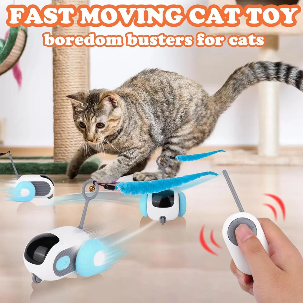 Smart driving Cat Toy