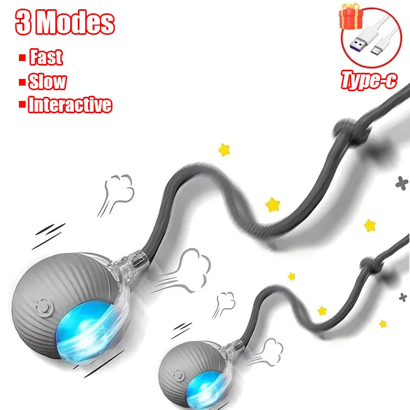 Interactive Mouse Mimicking Pet Toy™