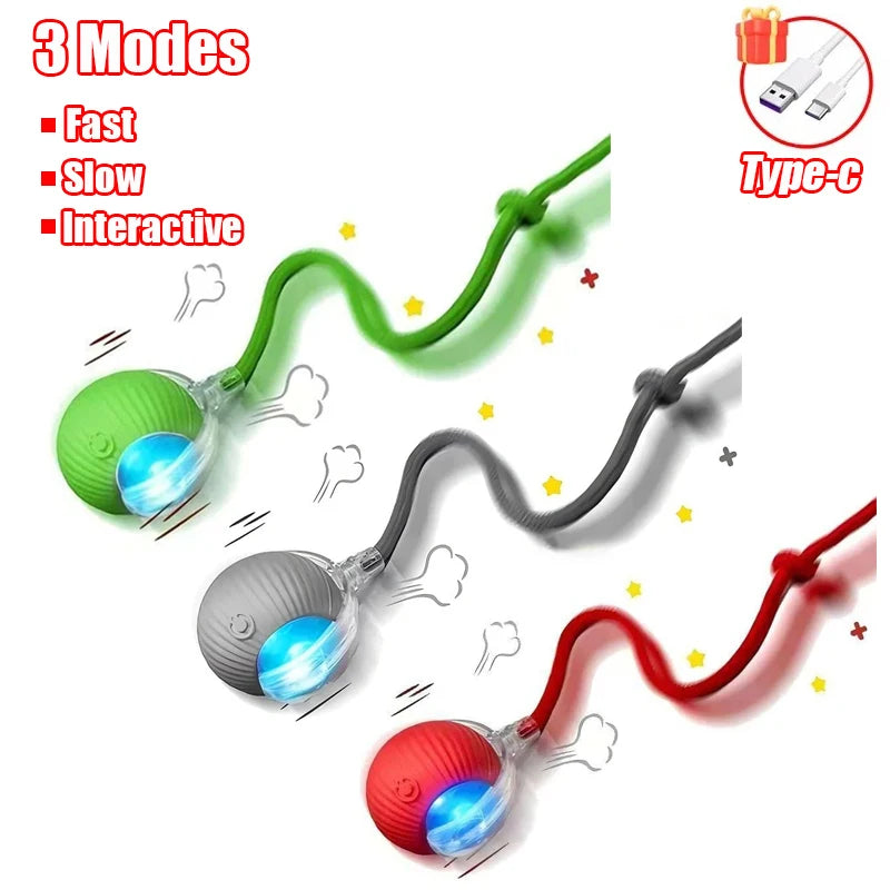 Interactive Mouse Mimicking Pet Toy™