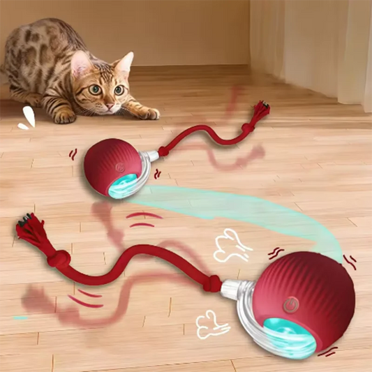 Intelligent automatic pet toy ball
