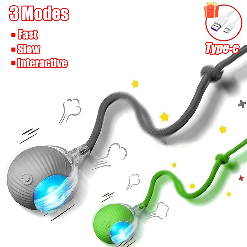 Interactive Mouse Mimicking Pet Toy™