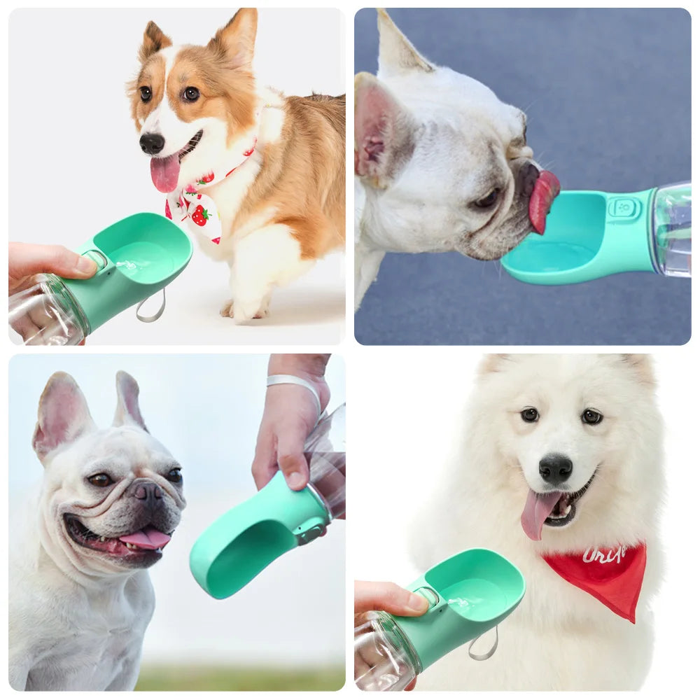 Portable pet Water Bottle