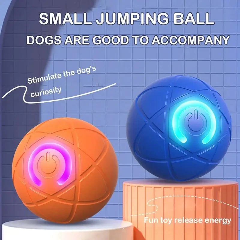 automatic electric pet ball toy