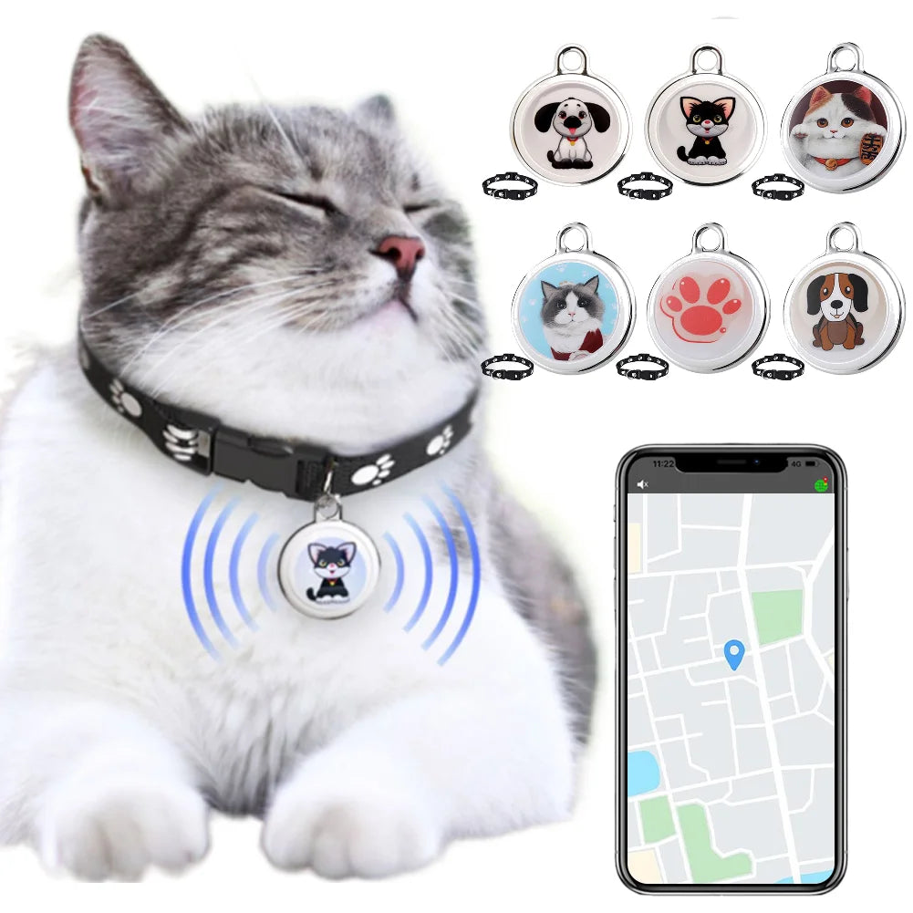 Track your pet in real time.