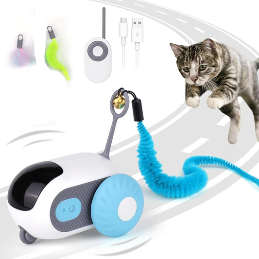 Smart driving Cat Toy